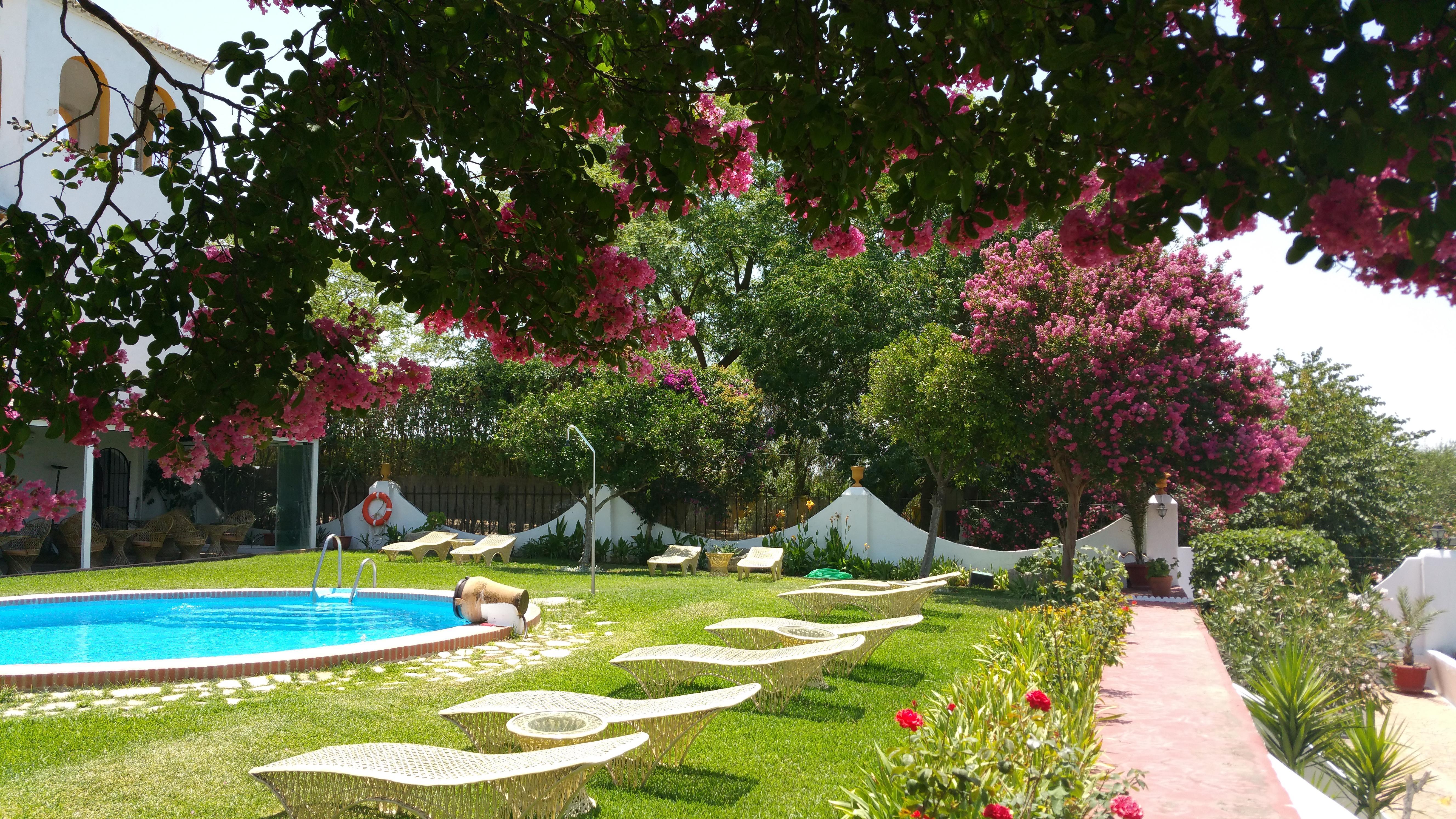 Hotel Hacienda El Santiscal Adults Only Arcos de la Frontera Exterior foto